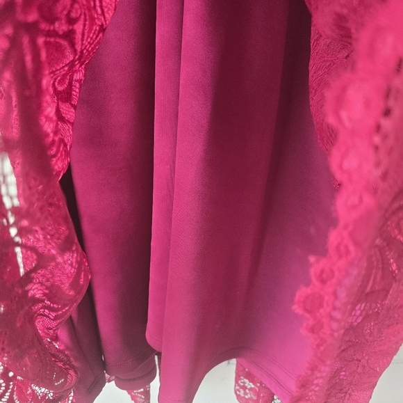 Kiyonna Women's Plus Pinot Noir Mademoiselle Lace Cocktail Dress Size 4X Red - Picture 11 of 15